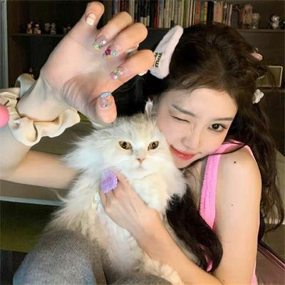 花落莺啼春